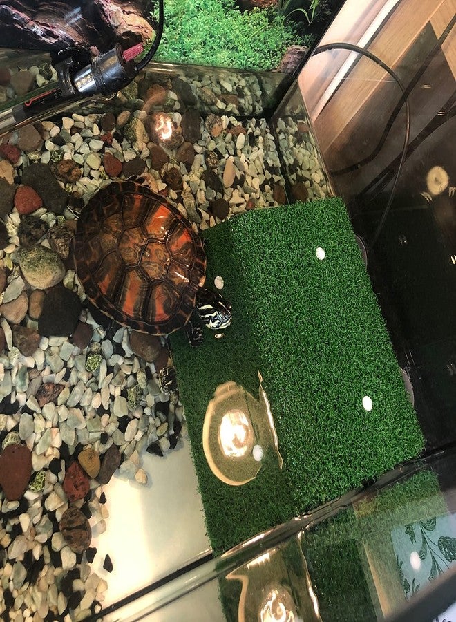 HIERYAN Turtle Basking Platform, Tortoise Ramp Reptile Tank Ladder Resting Terrace, Tortoise Ramp Reptile Ladder Resting Terrace Fish Tank Aquarium Turtle Dock Floating Décor, Large - Image 4